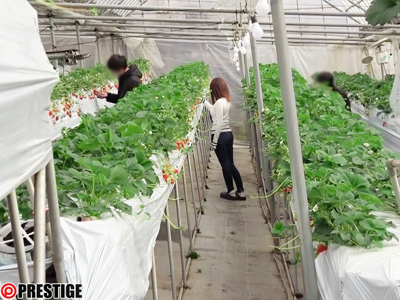 SRS-066 第 1 部分 - 30 分钟