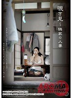 (11arm00300)[ARM-300]覗き見 ～隣家の人妻 立花美里 ダウンロード