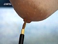 勃起する乳首コレクション 3のサンプル画像15