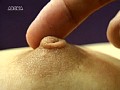 勃起する乳首コレクション 3のサンプル画像19