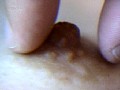 勃起する乳首コレクション 3のサンプル画像9