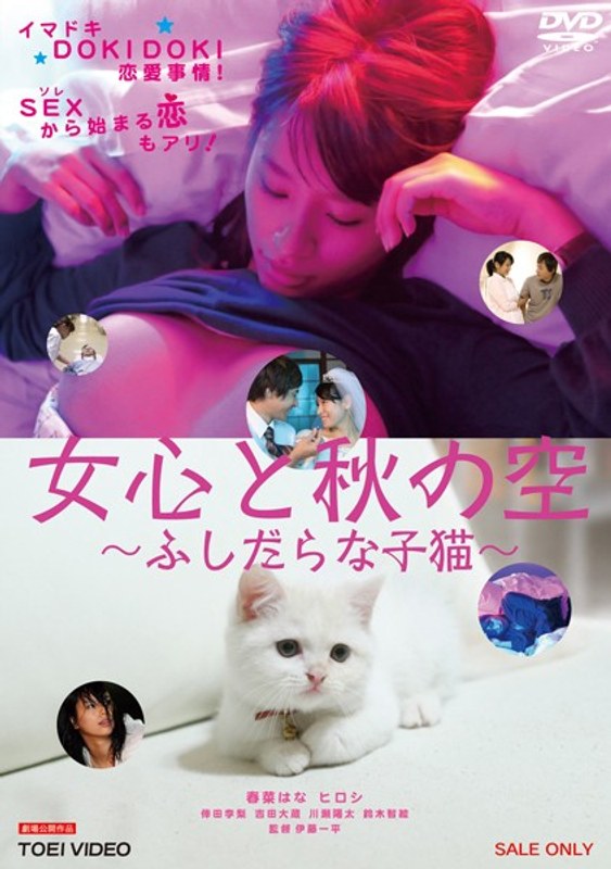 女心と秋の空 ～ふしだらな子猫～のジャケット両面画像