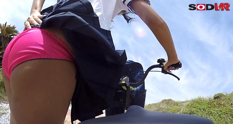 DSVR-290 Bagian 14 - 69 minit