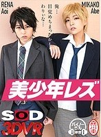 (13dsvr00307)[DSVR-307][VR] 幻想 NTR 特文克是 netora 你的男朋友! Bishonen 女同性戀 下載