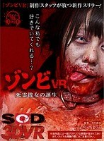 (13dsvr00385)[DSVR-385][VR] Zombie VR - The Birth of A Spirit Girlfriend - Marie Konishi Download