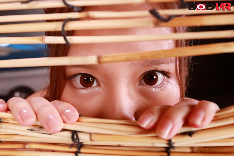 DSVR-796 Bagian 4 - 36 minit