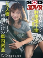 13dsvr01454[DSVR-1454]【VR】真夏の汗だく駐車場不倫 出会って3秒で濃厚ベロチュウ パチンコ中の旦那を置いて抜け出してきたレス人妻と月イチ1時間だけの車内密会 なつ（専業主婦32歳）