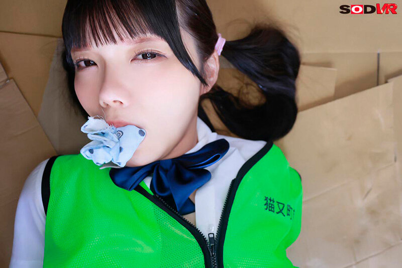 DSVR-01681 パート 8 - 51 分