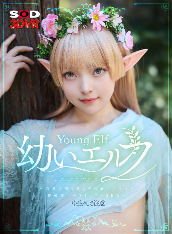 【VR】幼いエルフVR ※生々しさ注意 15枚目