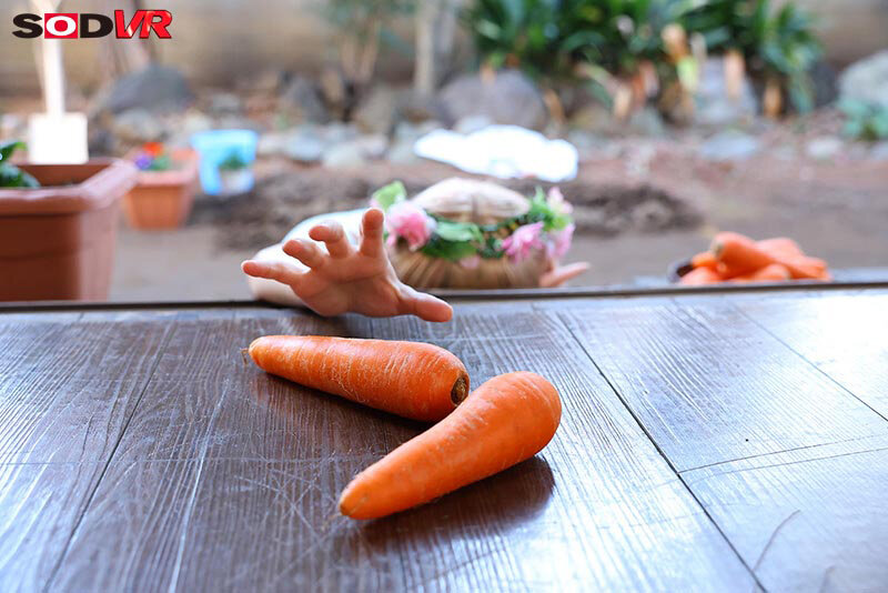 DSVR-01746 Bagian 2 - 32 minit