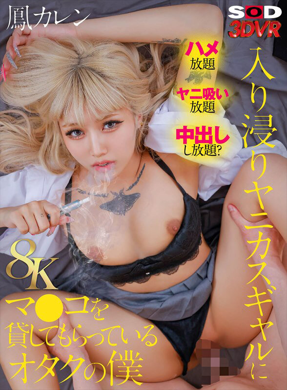 DSVR-01792 パート 1 - 30 分