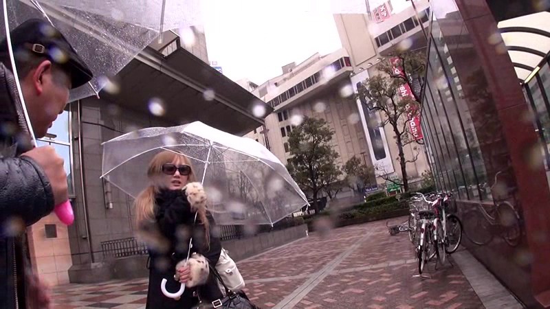 QHR-001 パート 1 - 30 分