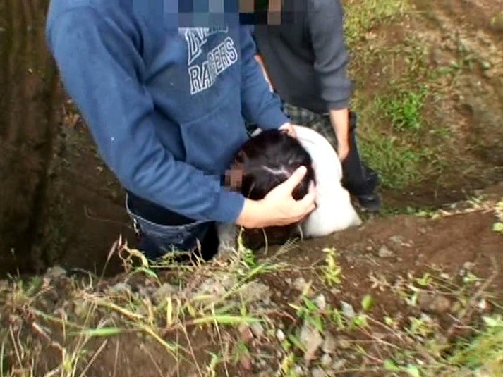 C-1217 Part 11 - 50 minutes