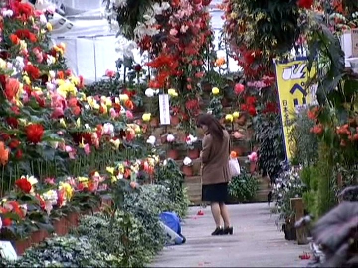 C-1288 第 2 部分 - 37 分钟