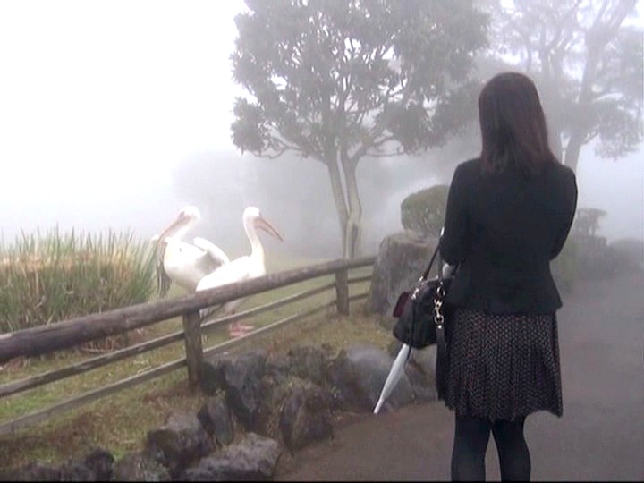 C-14001645 Part 2 - 39 minutes