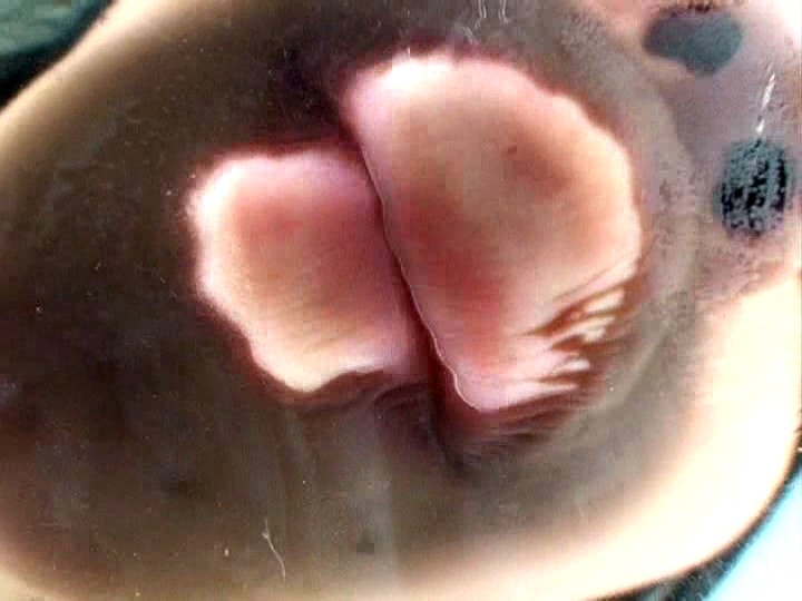 C-1647 パート 12 - 85 分