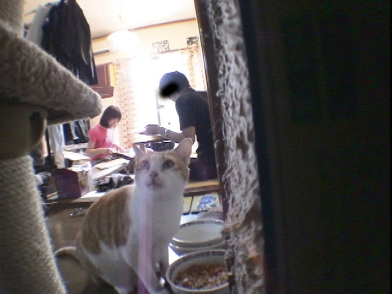 C-01905 パート 3 - 66 分