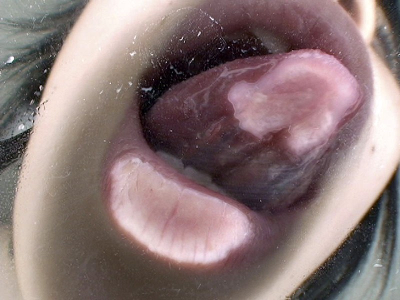 C-02186 第 11 部分 - 180 分钟