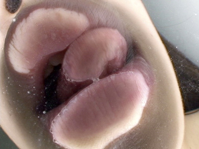 C-02186 第 5 部分 - 90 分钟