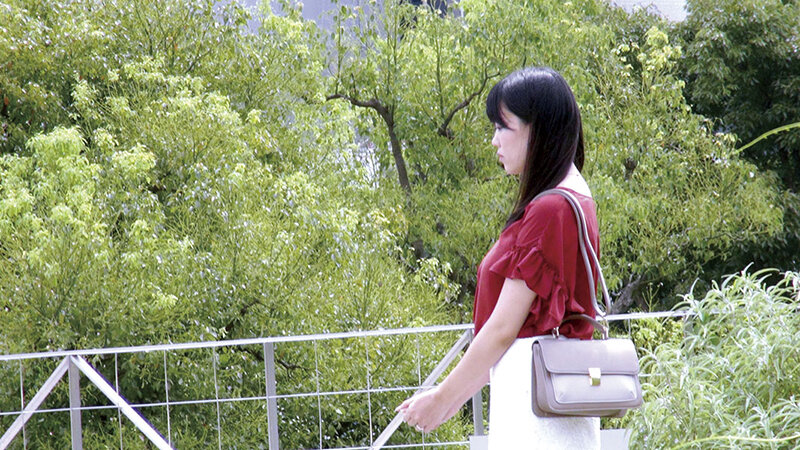 C-02231 第 1 部分 - 30 分钟