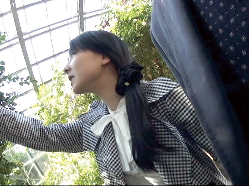 C-02262 第 17 部分 - 222 分钟