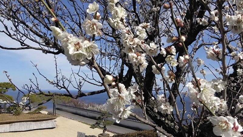 C-02291 Part 2 - 38 minutes