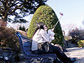 写真1