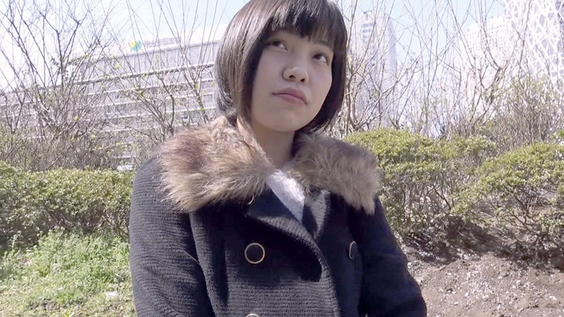 C-02442 パート 1 - 30 分