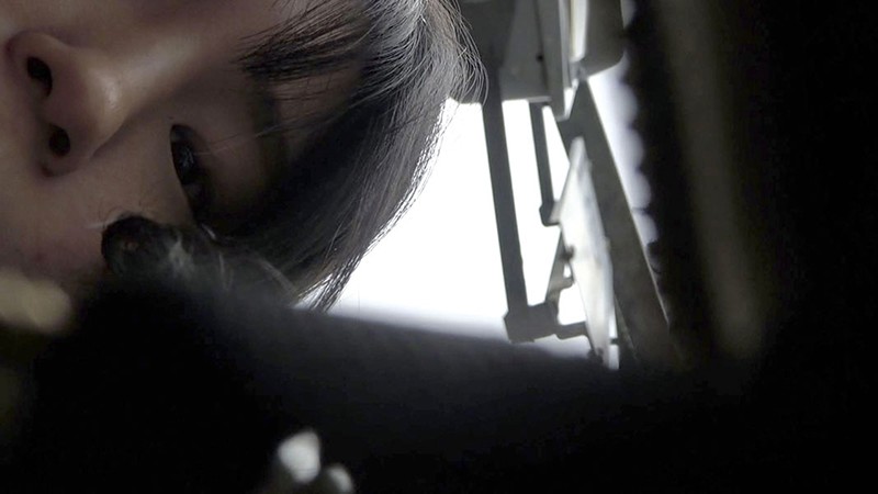 C-02531 パート 1 - 30 分