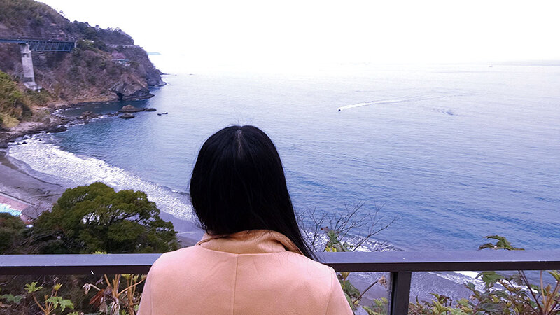 C-02739 パート 1 - 30 分