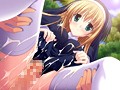 プリマ☆ステラ （DVDPG） 画像5