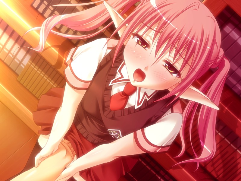 Maria (DVDPG) 画像4