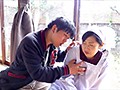 サンプル画像