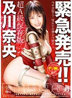 緊急発売！！ 及川奈央のジャケット画像