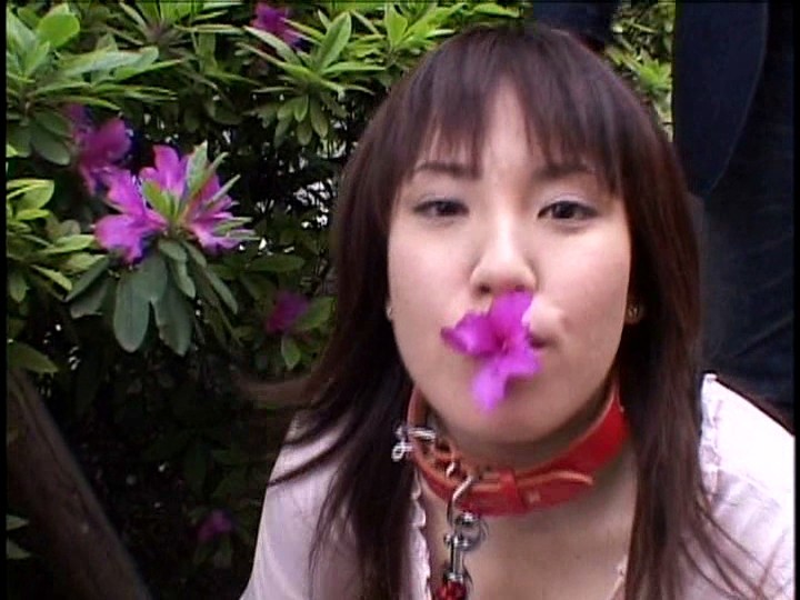 ICHD-04 Part 8 - 65 minutes