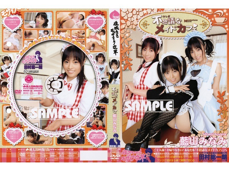 性域なきモザイク改革 不思議なメイドカフェ 藍山みなみ