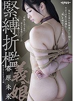 緊縛折●義娘 春原末来