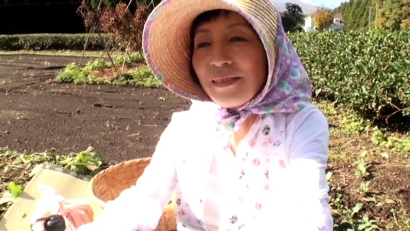 ISD-29 第 1 部分 - 30 分钟