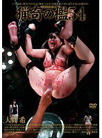 Bizarre Cage 54 Nozomi Onuki