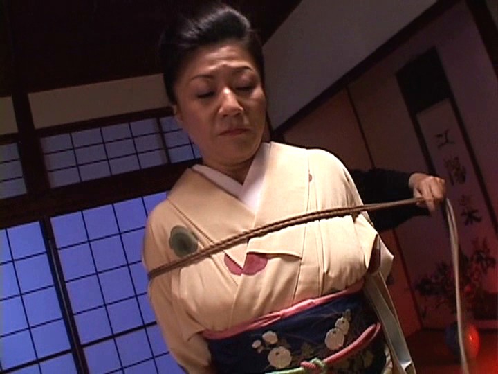 DSE-489 第 17 部分 - 94 分钟