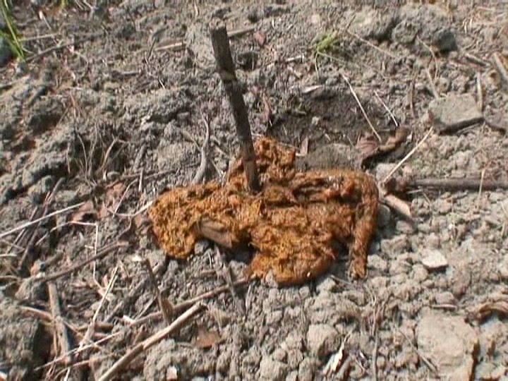 JAMA-005 Part 17 - 142 minutes