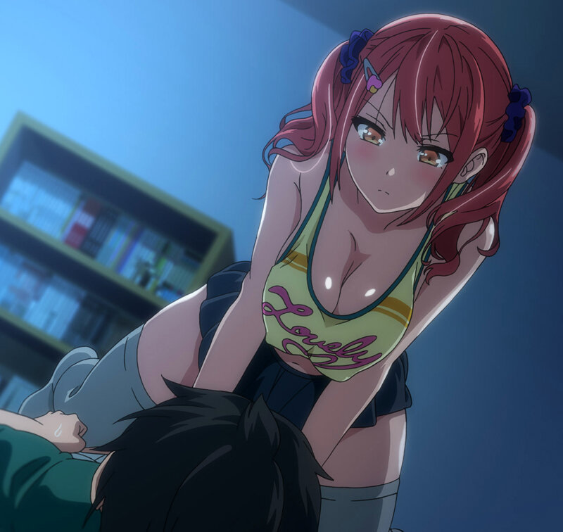 【FANZA限定】OVAシスターブリーダー ＃2 セル版 オリジナルB2タペストリー付 画像1