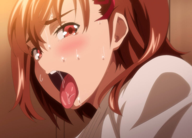 【FANZA限定】OVAシスターブリーダー ＃6 セル版 オリジナルB2タペストリー付 画像5