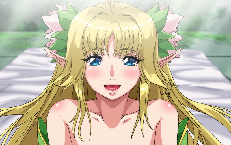 【FANZA限定】OVAようこそ！スケベエルフの森へ コレクションBOX セル版 オリジナルB2タペストリー付 画像1