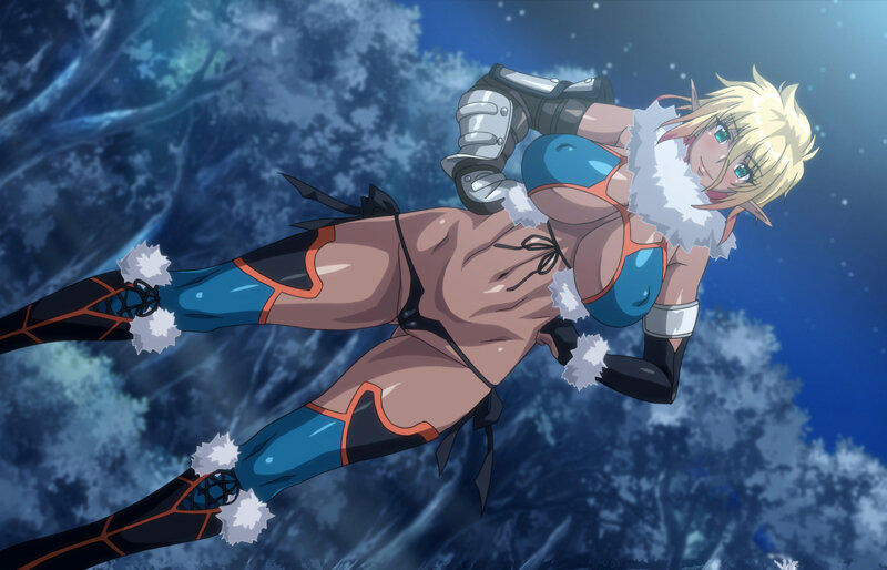 【FANZA限定】OVAようこそ！スケベエルフの森へ コレクションBOX セル版 オリジナルB2タペストリー付 画像8