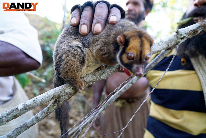 AVOP-108 Bagian 4 - 90 minit