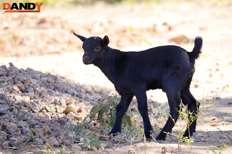 AVOP-249 Part 6 - 60 minutes