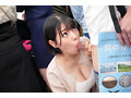 サンプル画像