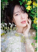 �ŷ���° DAHLIA ���餫��� ���ä����ؤ��������֤����餯��