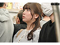 サンプル画像